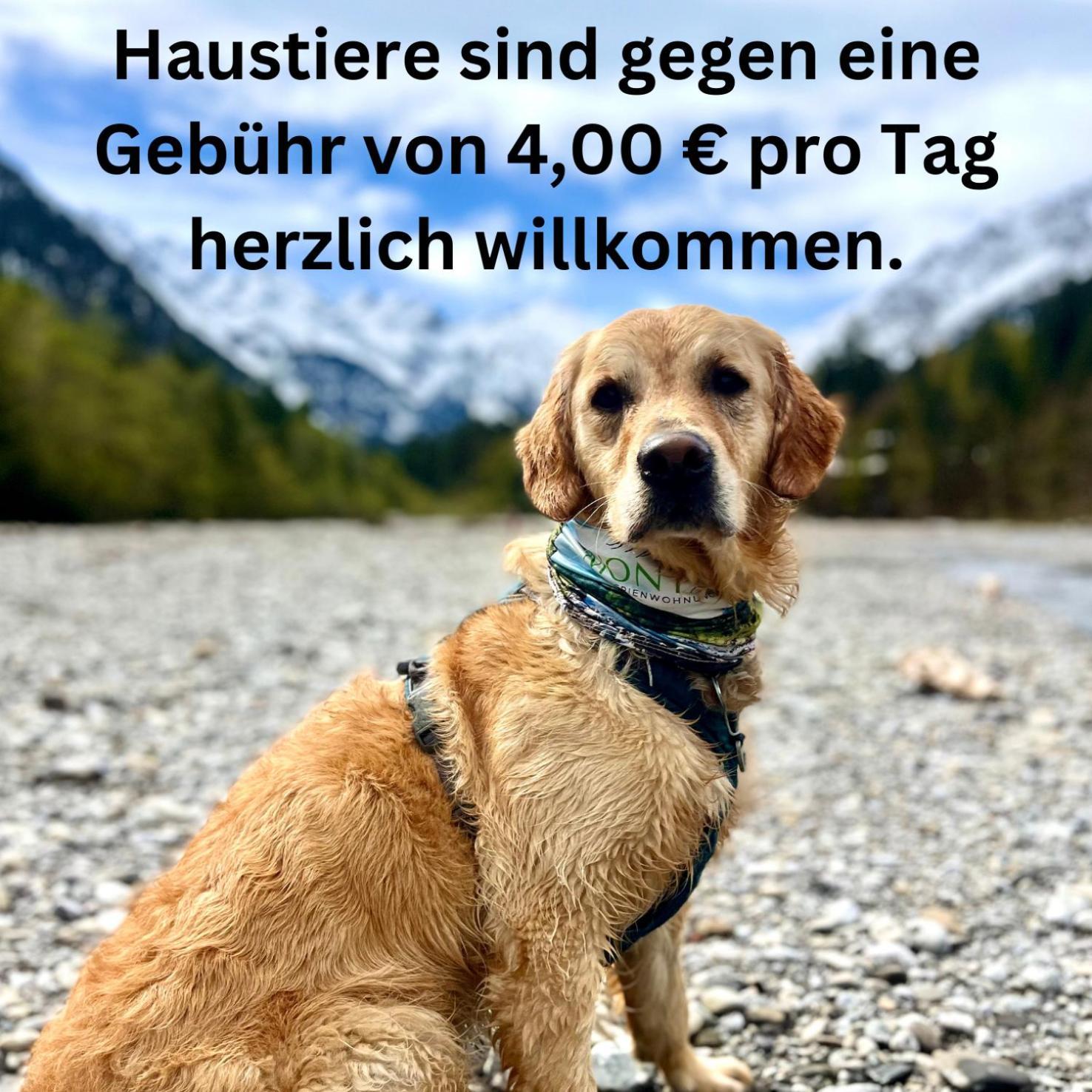 Montana Haus, Fewo A14, A17, B4 Oder C8 Oberstdorf Dış mekan fotoğraf